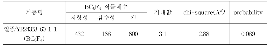 BC6F4 계통을 이용한 끝동매미충 저항성 생물검정 결과