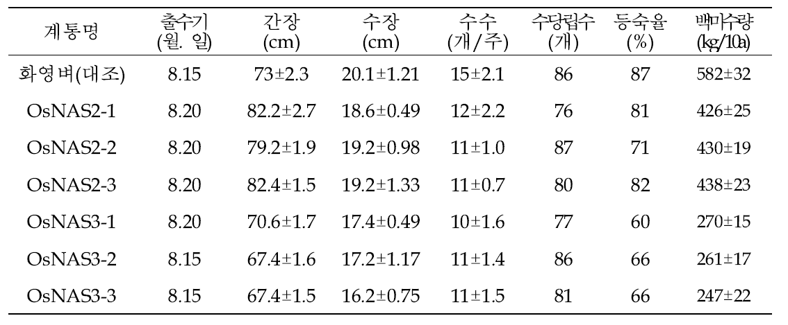 The agronomic characters of OsNAS activaiation tagging lines