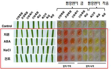 The change of leaf anthocyanin content in black rice by treating various abiotic stress