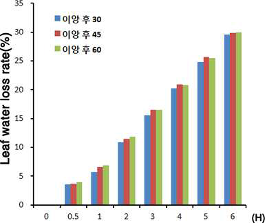 이앙 시기별 잎 수분손실율 변화 검정