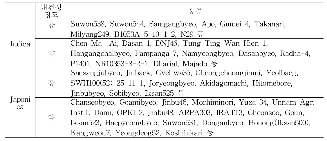 간이 검정법을 이용한 내건성 및 감수성 유전자원 분류