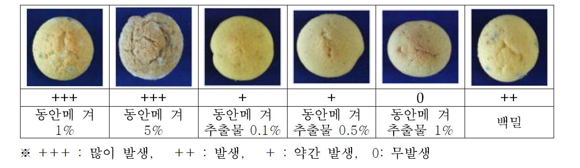 수수겨 및 수수겨 추출물이 첨가된 머핀의 상온저장시 곰팡이 발생정도