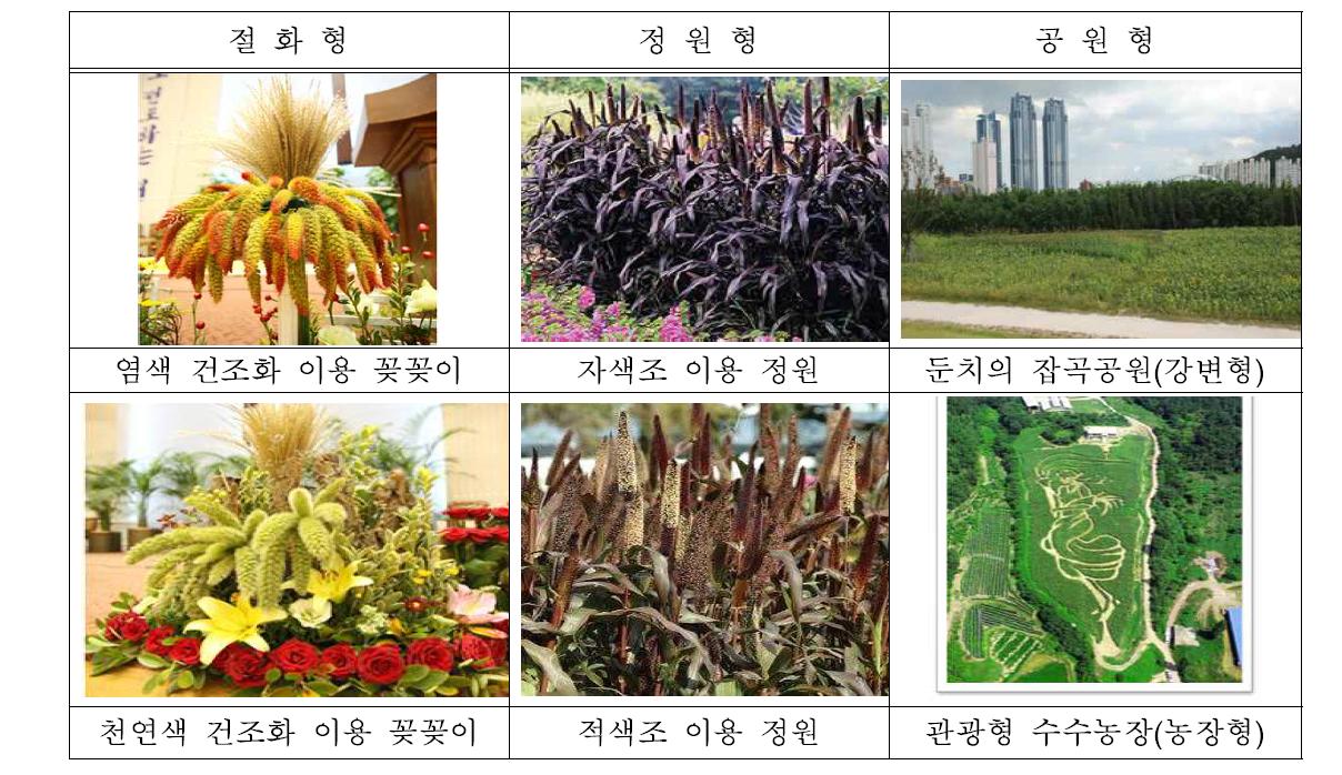 경관기능 우수 잡곡으로 이용 가능한 원예적 이용형태 예시