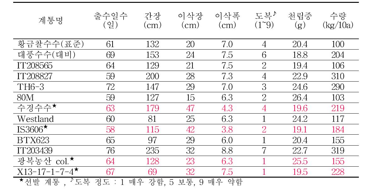 공시계통 주요 생육특성 및 수량성