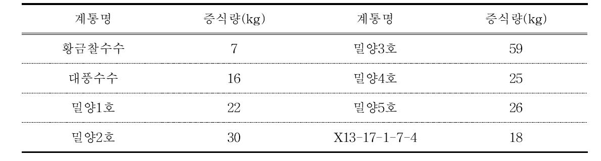 수수 우량계통 종자 증식