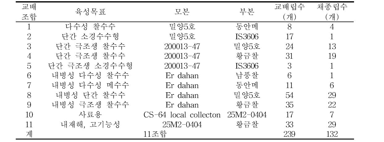 신규인공교배를 통한 계통 양성