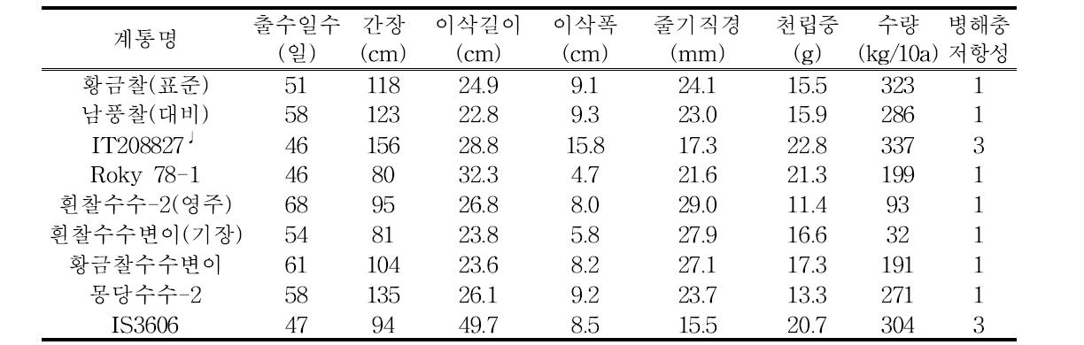 공시계통 주요 생육특성 및 수량성