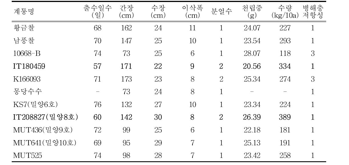 공시계통 주요 생육특성 및 수량성