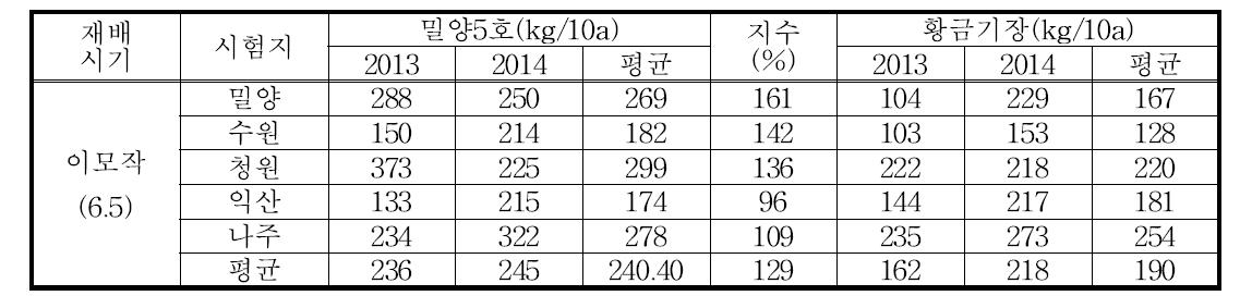 금실찰의 지역적응시험 수량성