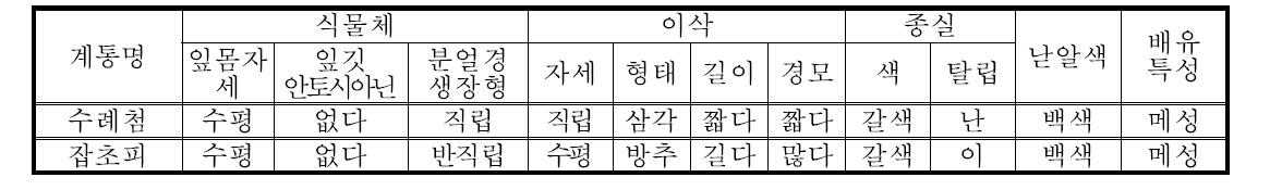 소담직의 고유특성