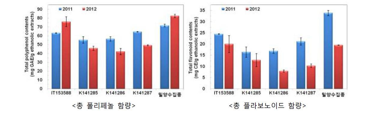 식용피의 생산년도 및 품종별 총 폴리페놀 및 플라보노이드 함량