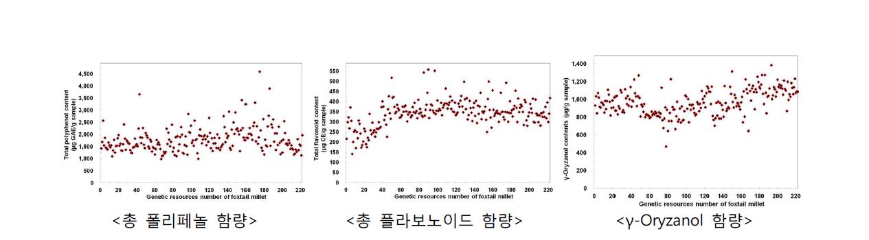 조 유전자원 222계통 총 폴리페놀, 플라보노이드, γ-oryzanol 함량