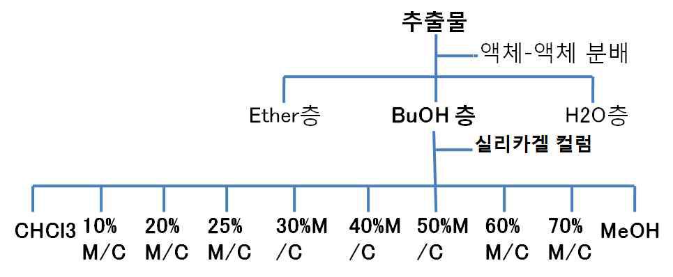 녹두 추출물 부탄올층의 실리카겔 컬럼 분획 과정.