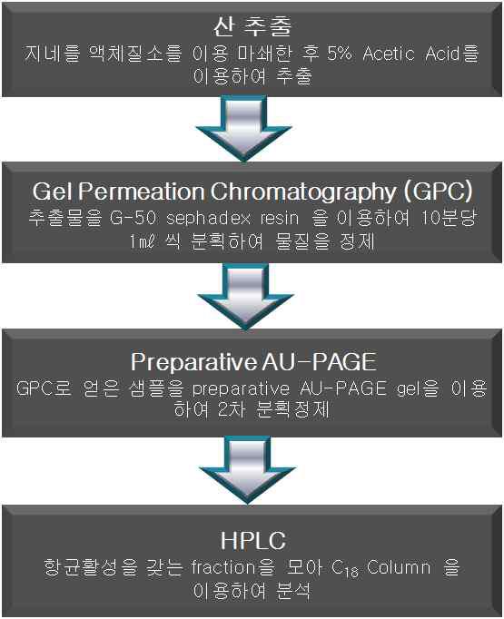 아세트산을 이용한 추출분획물 제조 및 분리 방법