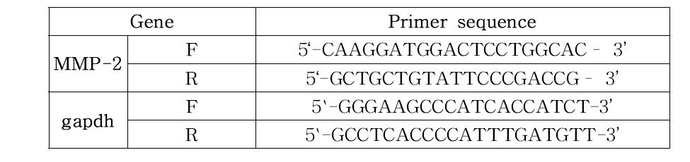 MMP-2 유전자 관련 primer 제작