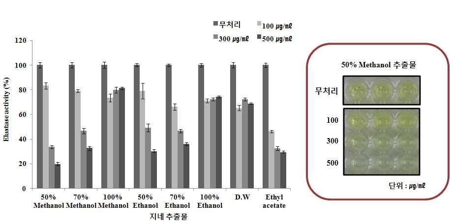 왕지네 유기용매추출물을 이용한 elastase 효소 활성 저해능