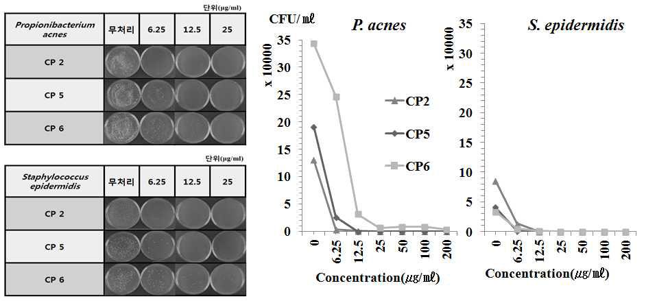 피부 질환 유발 균을 이용한 항균 활성 검정