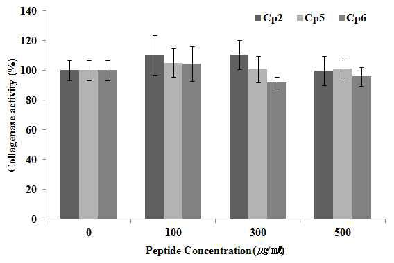 왕지네 유래 신규 항균 펩타이드을 이용한 collagenase 효소 활성 저해능