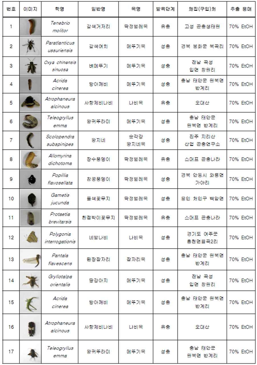 곤충사진, 종명, 채집 장소 및 추출 용매