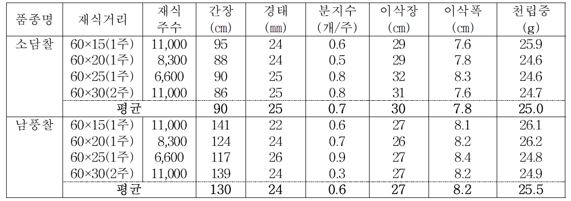 수수 논재배시 재식밀도별 주요 생육특성