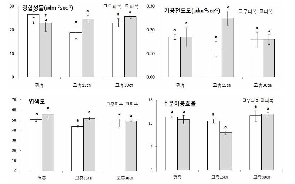 수수의 광합성률, 기공전도도, 수분이용효율 및 엽색도의 변화