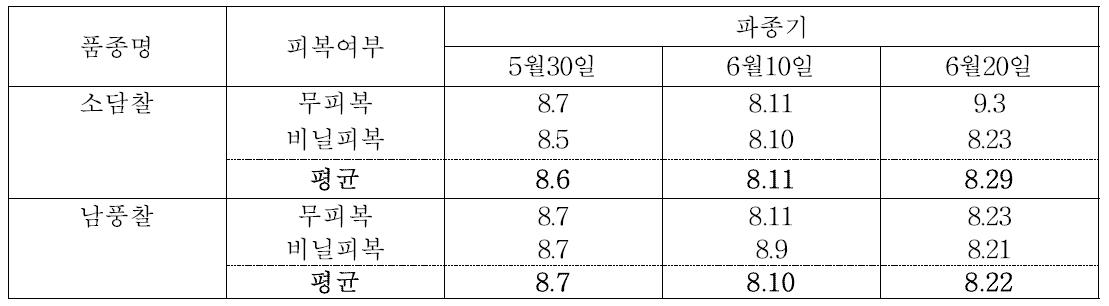 수수 논 재배시 파종기별 출수기