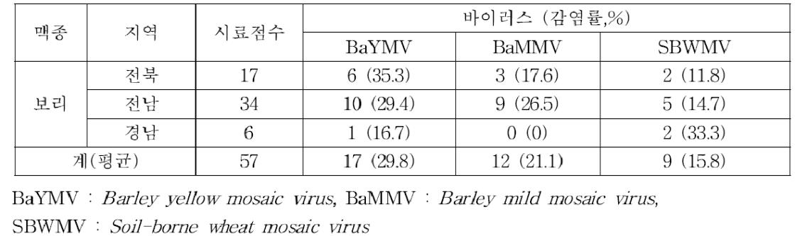 보리 재배지에서의 주요 바이러스 종류별 발생 조사