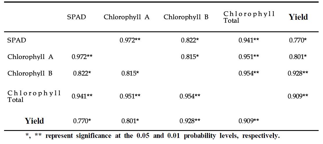 콩 담수 처리 시 SPAD 값 과 Chlorophyll의 상관계수