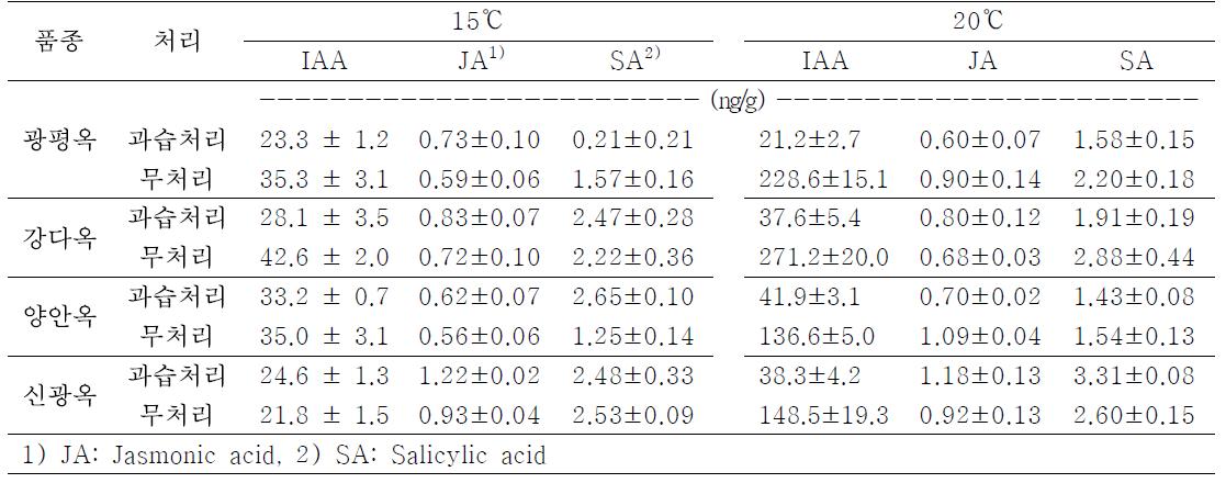 과습 처리 5일후 IAA, Jasmonic acid, Salicylic acid 함량