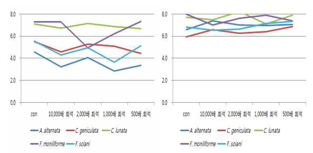 코사이드 농도별 처리에 따른 균 생육조사