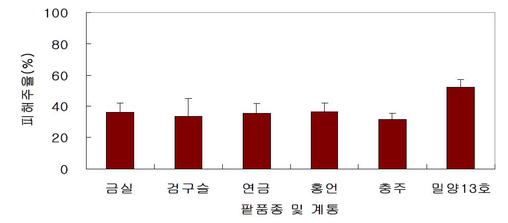 나방류에 의한 팥 품종별 잎피해주율