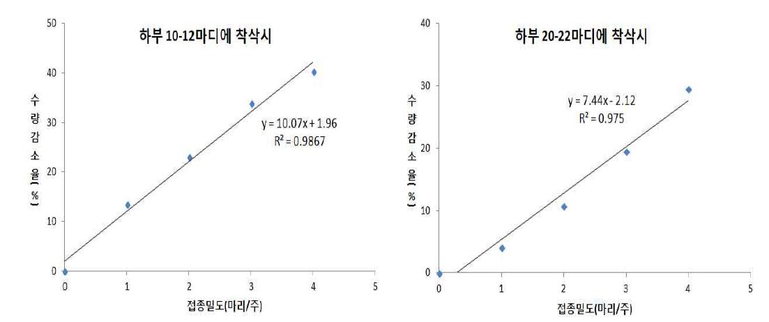 왕담배나방 3령 유충 밀도별 참깨 수량감소 회귀식