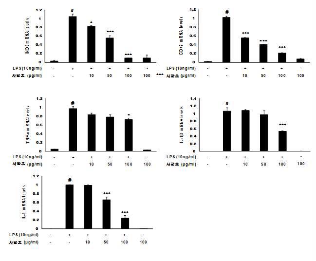 사함초 EtOH추출물의 염증성 mRNA 발현 저해 효과