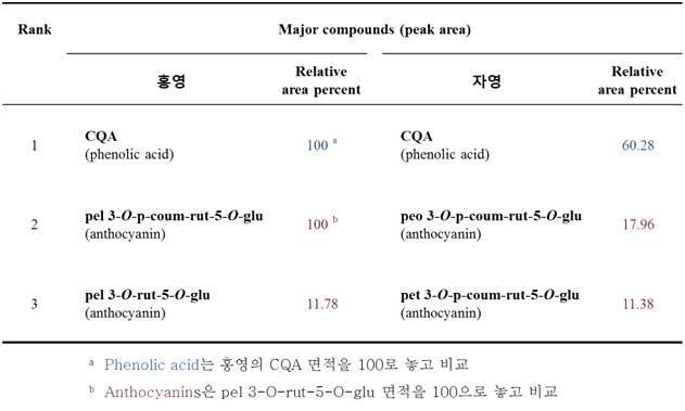 홍영과 자영의 주요 폴리페놀류와 안토시아닌