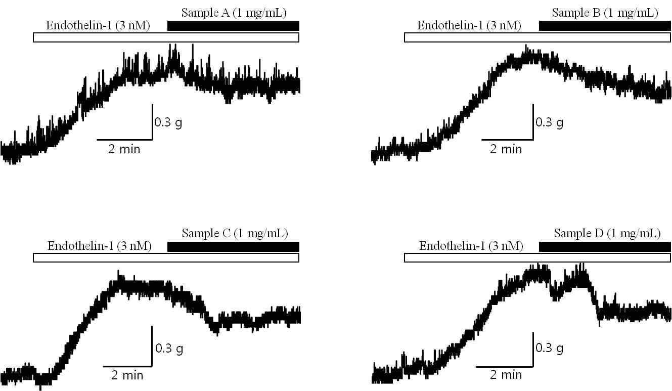 엔도델린 유도 혈관 수축에 대한 이완효능 검증