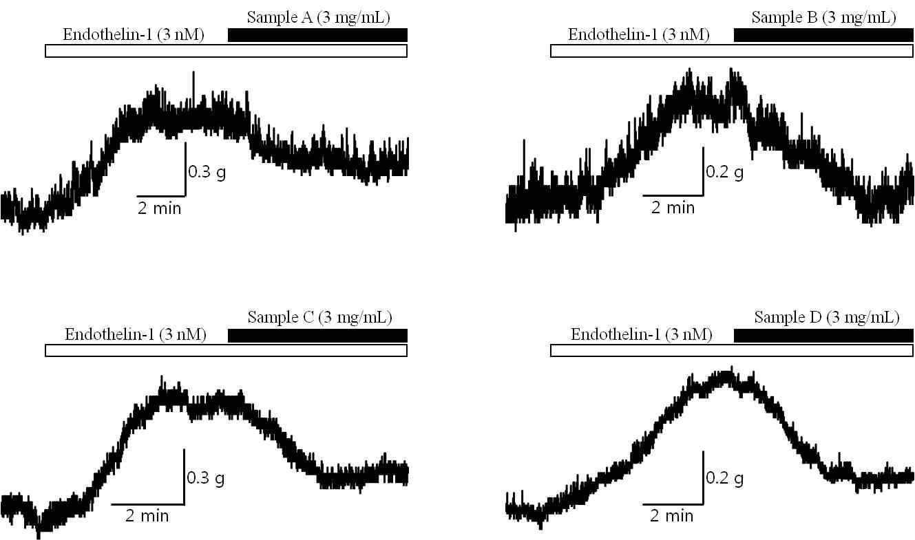 엔도델린 유도 혈관 수축에 대한 이완효능 검증