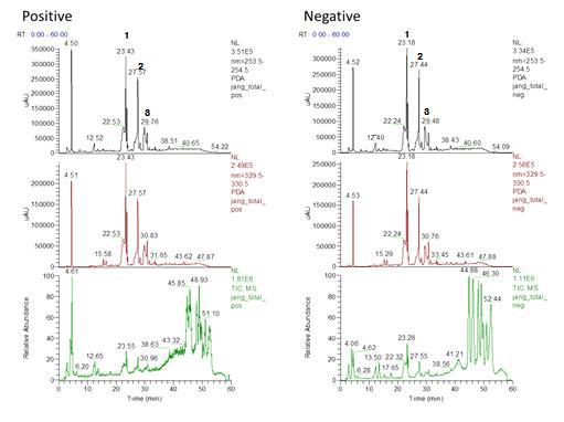 장대나물 Ethanol 추출물의 LC-ESI/MS 스펙트럼