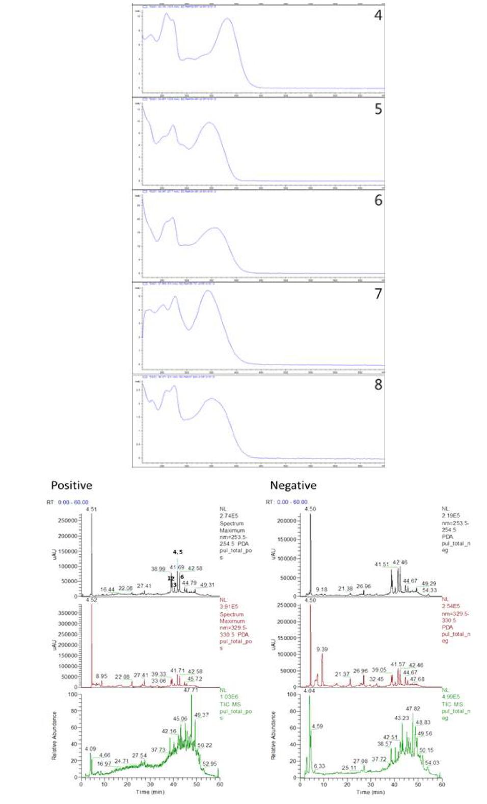 풀솜대 Ethanol 추출물의 LC-ESI/MS 스펙트럼