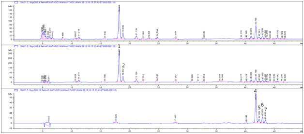 홍영 외피 Methanol 추출물의 HPLC profile