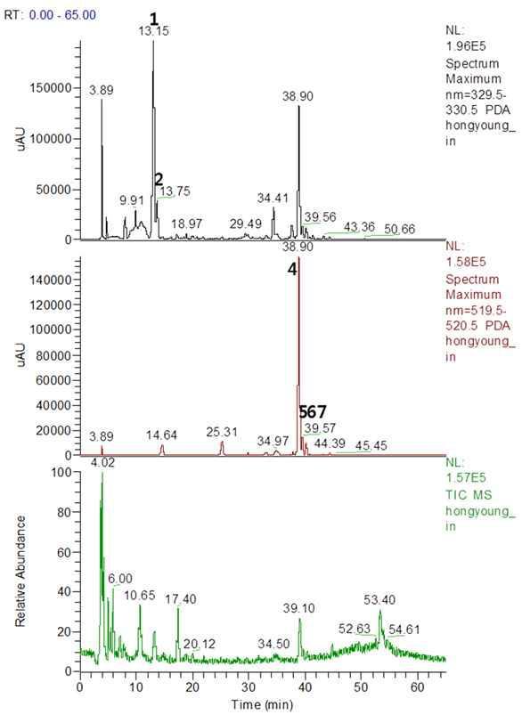 홍영 내심 Methanol 추출물에 존재하는 주요 화합물의 UV/VIS 흡수 스펙트럼