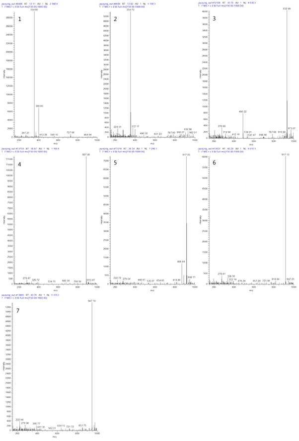 자영 내심 Methanol 추출물의 LC-ESI/MS 스펙트럼