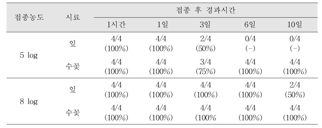 접종 농도 차에 따른 멜론 잎과 수꽃에서 리스테리아균 검출비율 변화