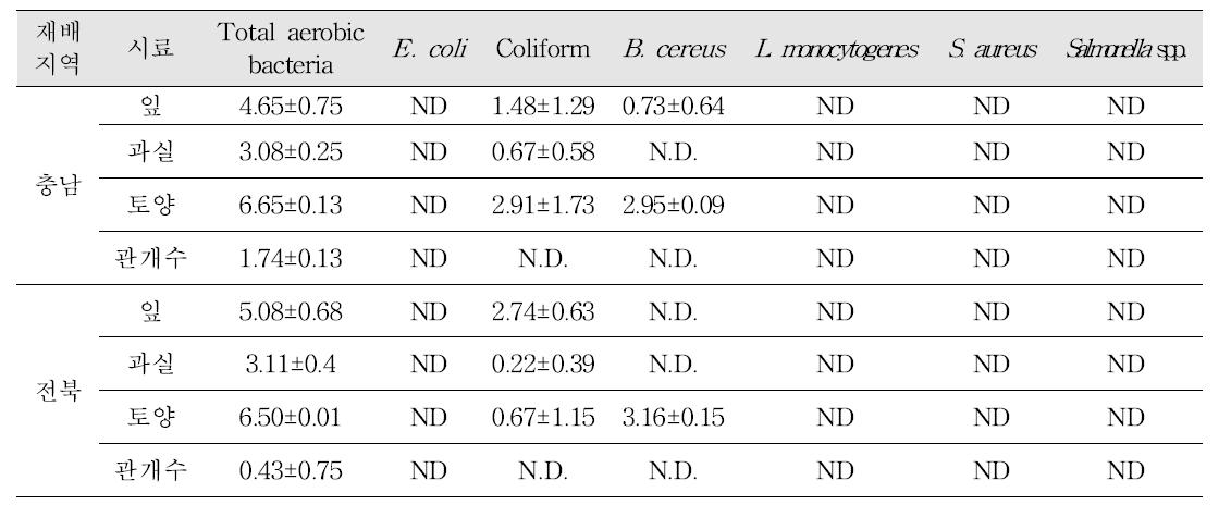 재배단계 멜론의 미생물 오염도