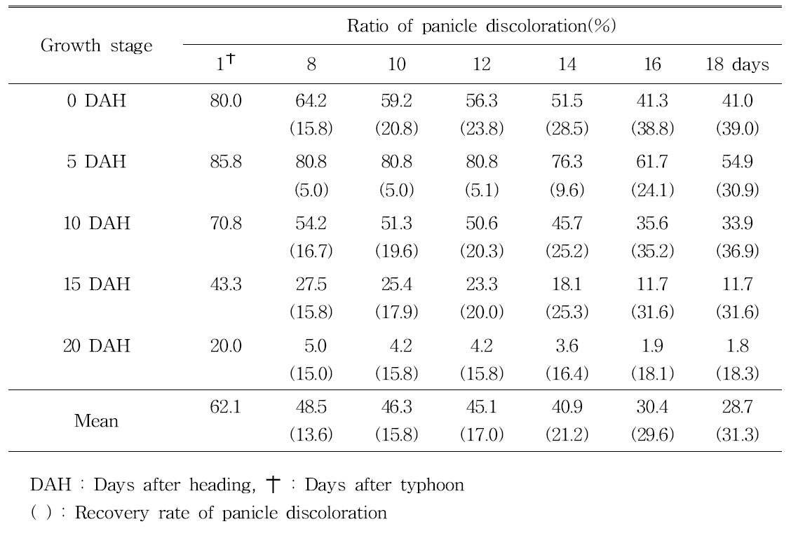 Ratio of panicle discoloration caused by typhoon at different heading dates