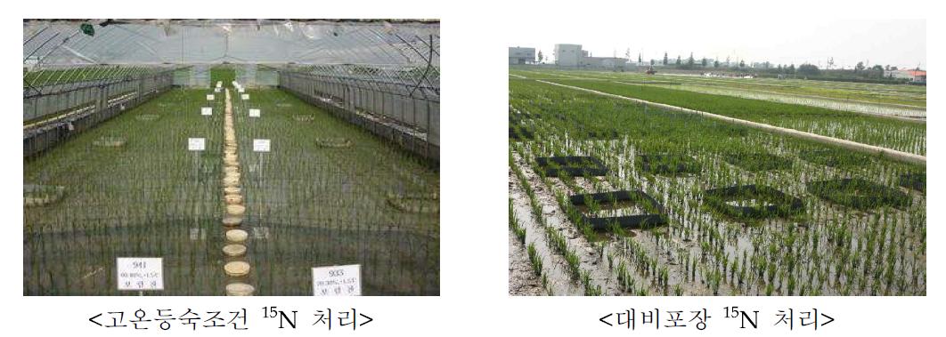 Photo of 15N treatment in high temperature and control condition