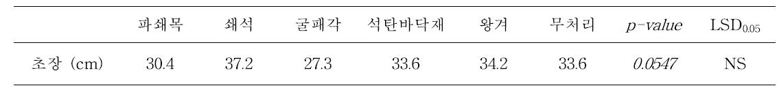 토양개량제 시용 60후 옥수수 생육