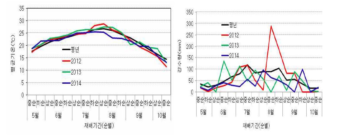 고구마 재배기간 청원지역의 평균기온(좌) 및 강수량(우)