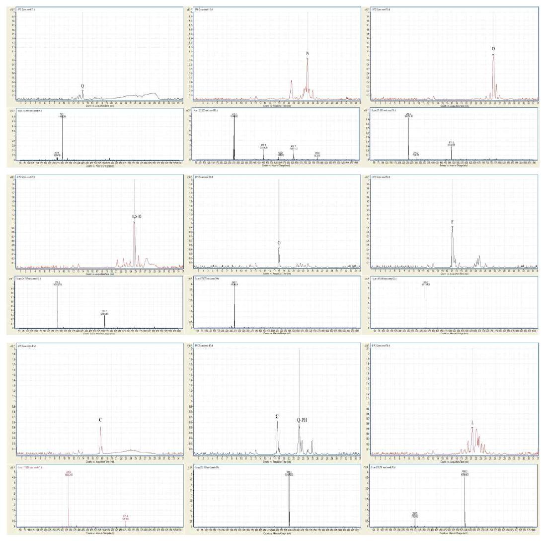 분리물질의 Total Ion Chromatogram(TIC)