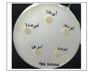 Escherichia coli KCCM 11569 (B.N007)에서 갈색거저리 buthanol 추출물의 항균성