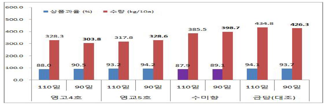 품종별 육묘일수에 따른 상품과율 및 수량(2013)